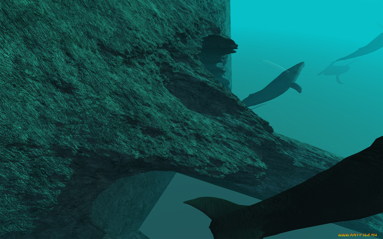 3, , sea, undersea, 